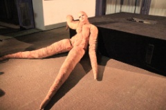 Squid Performance 007 * 5184 x 3456 * (5.02MB)